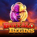 Buffalo Begins